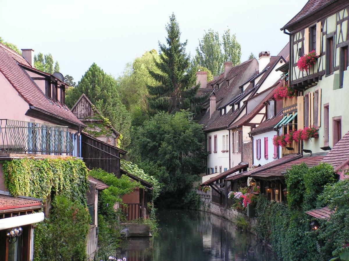 Gite Atelier De Hansi - Colmar Centre Ngoại thất bức ảnh